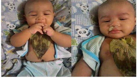 Bila bayi umur di bawah 9 bulan, sobat harus memastikan asupan asi lebih dari cukup dari biasanya. Bayi Anda Pilek Tidak Perlu Obat Kimia, Cukup Selembar ...