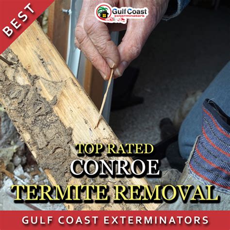 The woodlands, tx pest control services. Conroe and The Woodlands Termite Inspection and Termite ...