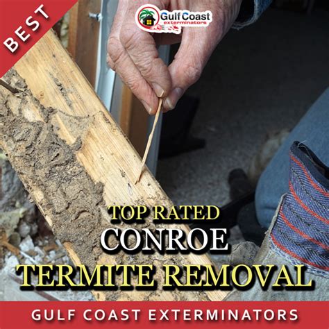 Mesquite, tx 83 pest control companies near you. Conroe and The Woodlands Termite Inspection and Termite ...