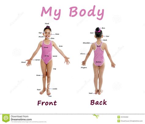 You can install this wallpaper on your desktop or on your mobile phone and other. Girl Wearing Pink Swimsuit For Body Chart Guide On White ...