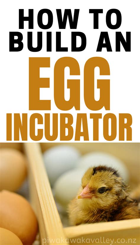 If you are turning the eggs by hand, just stop turning them. DIY incubator | Build your own incubator - full ...