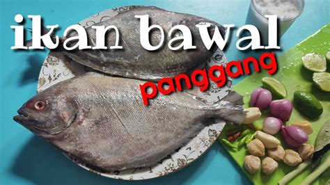 Siapkan alat panggang dan bakar ikan sembari diolesi menggunakan minyak. ikan Bawal laut bakar/panggang / grilled fish - YouTube