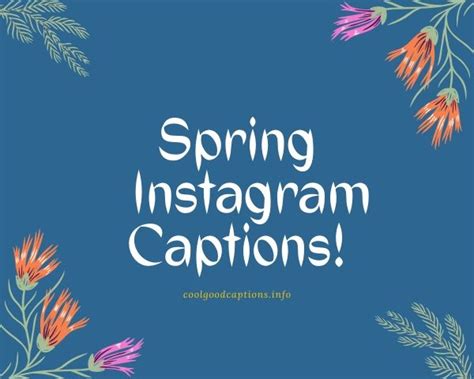 A start of something new. 69+ Cute Spring Instagram Captions for All your Pictures!!