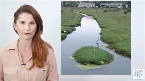 In fact, the collective market cap of all stablecoins, at the time of writing, amounted to ~$33.5 billion, after the supply added $4 billion in the past 12 days alone. Ballona Wetlands Restoration Project Approved by ...