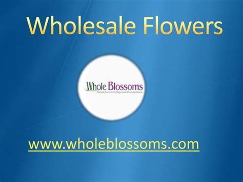 Explore our exclusive flowers for birthday, anniversary, valentine's. Wholesale Flowers - www.wholeblossoms.com | Wholesale ...