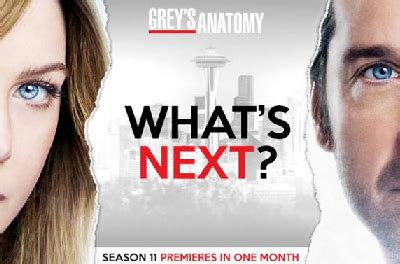 Puzzle with a piece missing grey's anatomy season 11. Grey's Anatomy: Recensione 11x01: Puzzle With a Piece ...