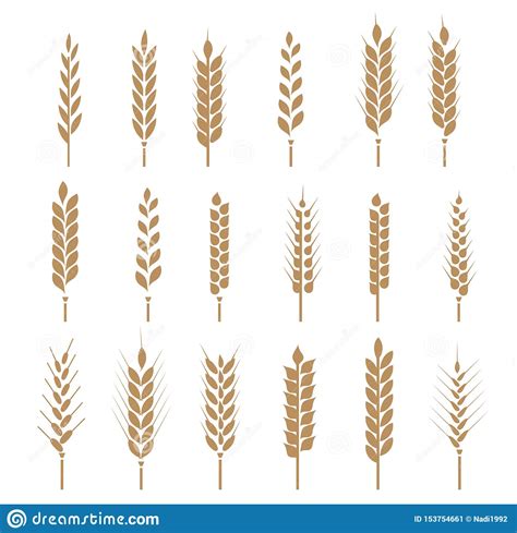 Tabulated and abridged descriptions of the official grain standards of the united states as established and promulgated by the. Cereals Icon Set With Rice, Wheat, Corn, Oats, Rye, Barley ...