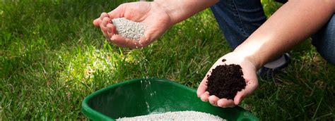 Weed control services made easy. Compare the Best Lawn Care Companies | ConsumerAffairs