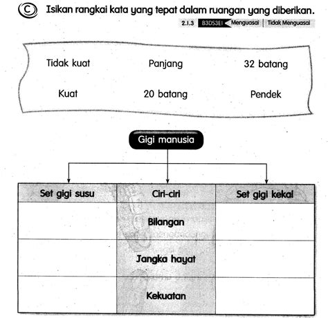 Haiwan yang mempunyai set kegigian seperti di atas? Dunia Sains dan Teknologi Tahun 3: LATIHAN