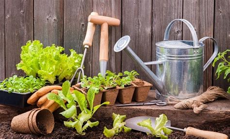 Gardener.ruландшафтный дизайн и архитектура сада. How to become a gardener | Startups.co.uk