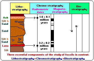 How to use geomorphology in a sentence. Threesology Research Journal