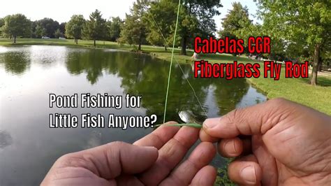 It was a stiffer rod than the cgr, more. Cabelas CGR Fiberglass Fly Rod | 2wt for Fingerling Bass ...