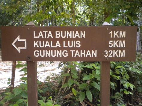 It is famous for its rainforest, birds, and insects. .:HIdzam:.: Kawasan Misteri di Hutan Taman Negara Malaysia