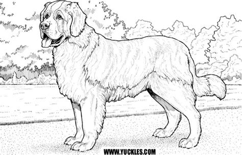 Retriever golden doodle - Coloring pages - Print coloring Print coloring pages by moving the cursor over an image and clicking on the printer icon in its upper right corner.
