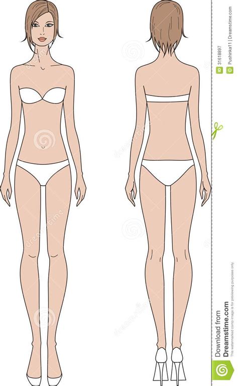 Images of blank female body template sabadaphnecottage. Womens figure stock vector. Illustration of body, fitness ...
