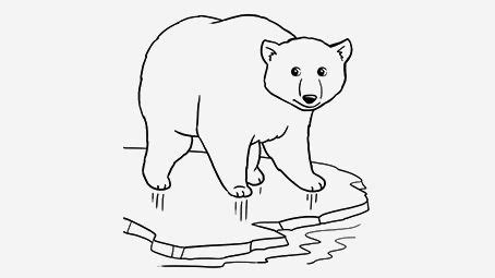 Check spelling or type a new query. Top 10 Free Printable Polar Bear Coloring Pages Online ...