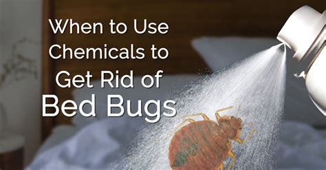 Also, bed bugs can build up a resistance to certain pyrethroids, making them difficult to treat. Get Rid of Bed Bugs Chemicals - Erdye's Pest Control