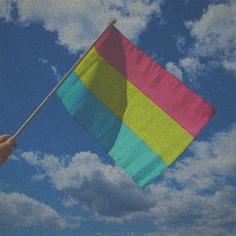 Pansexual people may be described as being gender blind showing that gender is not a factor in their attraction to a person. Pin on lgbtq+