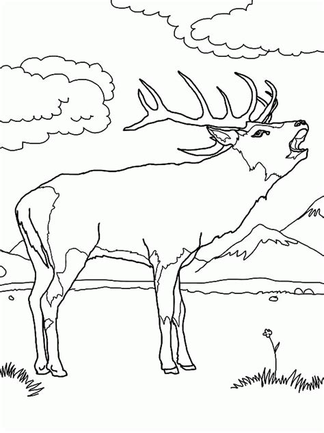 This is from the wonderful easy peasy and fun website. Rocky Mountain Elk Coloring Page - Coloring Home