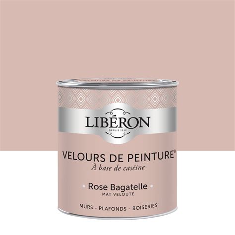 Questo tipo di foto (persiane leroy merlin e peinture leroy merlin nuancier) precedente è generalmente categorizzato using: Peinture multisupport LIBERON rose bagatelle velours 0.5 l ...