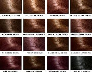 Ion brown hair color chart. Golden Brown Hair Dye - Light, Medium, Dark, Best Brands ...
