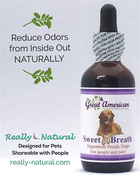 Sep 18, 2008 · brush your dog's teeth on a regular basis. Freshen bad breath naturally AND safely - with unique ...