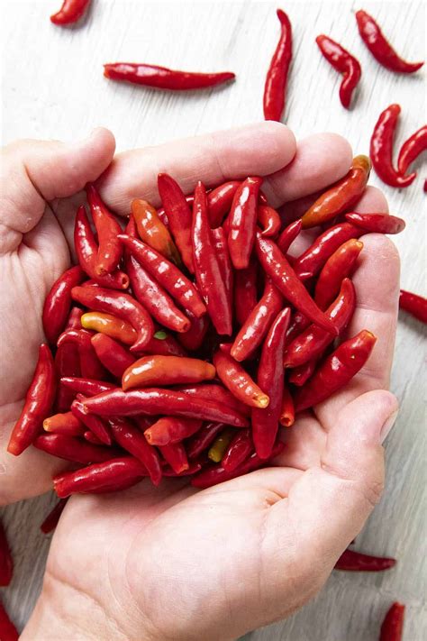 The arbol chile is very hot and related to cayenne pepper. Pin on HOT STUFF!