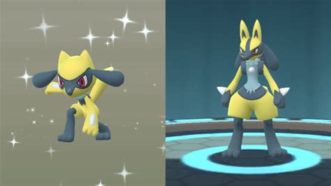 Shiny lucario have not been implemented to the game as of yet. OMG 😱 FINALLY HATCHING SHINY RIOLU!!! Shiny Lucario Evolution! Pokémon Go Easter Event! - YouTube