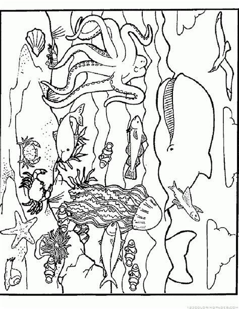 I agree with the above post. Ocean Coloring Pages