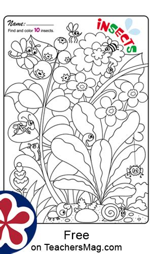 It helps him familiarize and find a. Anti-Stress Coloring Pages For Kids | TeachersMag.com