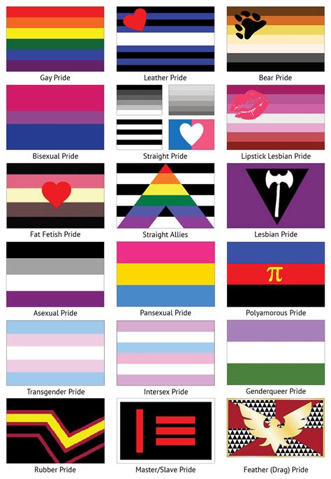 The pride flag of omnisexuality has five horizontal bars of light pink, pink, light blue, blue and dark blue colors. pride | Queer Culture Collection
