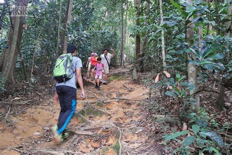 Mar 17, 2015 · hutan paya hutan paya air tawar • tasik chini, rompin, mersing, air hitam, sabak bernam, tanjung karang dan dataran hilir perak di semenanjung. Kembara Sang Kancil: Hutan Simpan Ayer Hitam, Puchong (25 ...