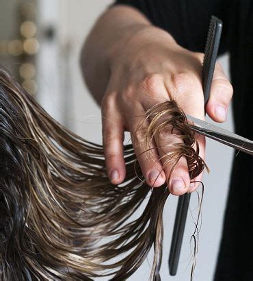 Coiffure à domicile, trouvez votre coiffeur viadom. Coiffure à domicile : une coupe sur cheveux mouillés VS ...