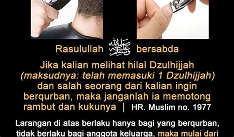 Beberapa orang menyarankan untuk tidak memotong rambut sejak memasuki 10 awal dzulhijah. Untuk Siapa Saja Larangan Memotong Kuku dan Rambut Pada ...