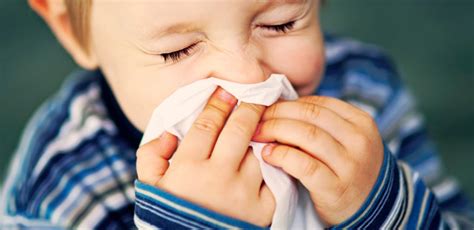 Jenis alergen yang biasanya menjadi pemicu munculnya batuk pilek adalah debu, asap, dan bulu binatang. Obat batuk dan pilek anak yang aman - JakartaCitizen ...
