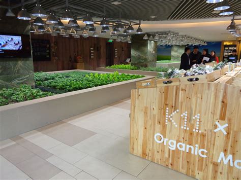 Can pothos grow in artificial light. Organic veg growing under artificial light in Shanghai ...