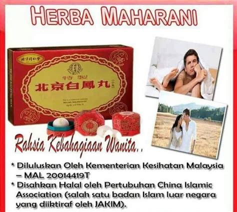 Tapi bagi yang tak mengenali herba ini, saya terangkan di sini apa kelebihan herba maharani. PREMIUM BEAUTIFUL: Rahsia kehebatan herba pil maharani