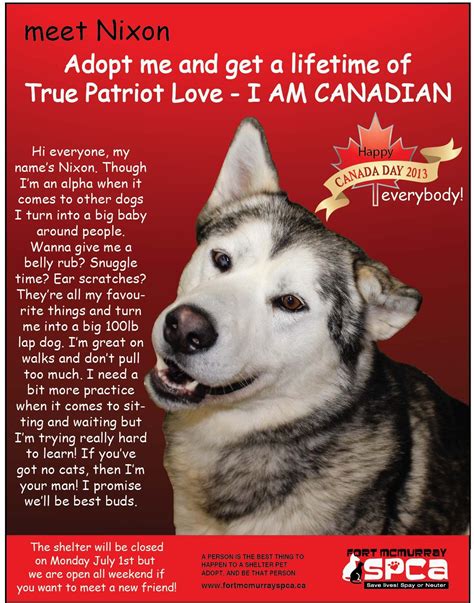 Calling ALL #CANADIANS!! This beautiful #Siberian #Husky X ...
