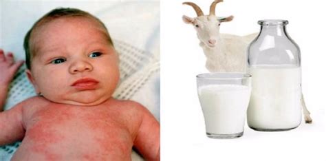 Susu formula enfalac a+ mengandungi serat diet choline dan gos iaitu sejenis prebiotik yang boleh menghasilkan probiotik untuk bayi baru lahir. Adakah Susu Kambing Sesuai Diberikan kepada Bayi Baru ...