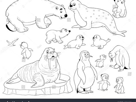 Great for toddler preschoolers and big kids too. Arctic Animals Coloring Pages at GetColorings.com | Free ...