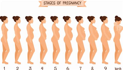 Woche war ein kleiner bauch zu. Schwangerschafts-Abc: Was sind die wichtigsten Begriffe ...