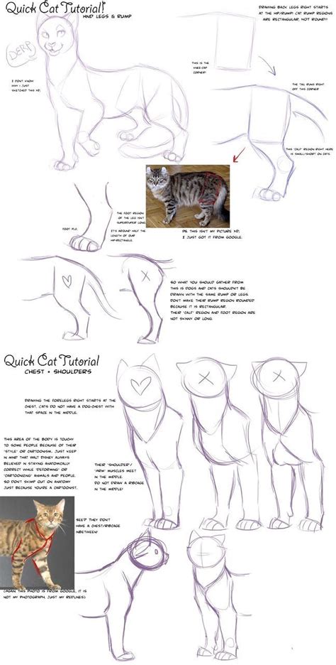 Take this quiz and find out! Pin by 𝓛𝓪𝓻𝓪 𝓑𝓾𝓻𝓻𝓲𝓽𝓽 on Warrior cats | Cat drawing tutorial ...