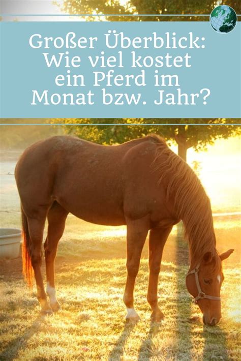 Du könntest auch fragen, was dürfen schuhe kosten? Wie viel kostet ein Pferd (Monat / Jahr)? Ein Überblick ...