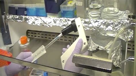 Maybe you would like to learn more about one of these? Cell Culture Training Video - YouTube