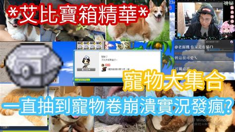 本板提供各國楓之谷外掛交流，您可以在這裡盡情與其他玩家交流輔助或下載外掛等任何楓之谷的漏洞討論。 冰楓論壇»論壇 › 新 楓之谷(maplestory)› 外掛程式分享/討論區. 【新楓之谷】【神秘】決定影片不遮視訊了! 歡迎來到神秘寵物頻道 幫人抽艾比滿滿的寵物捲 影片記得看到 ...