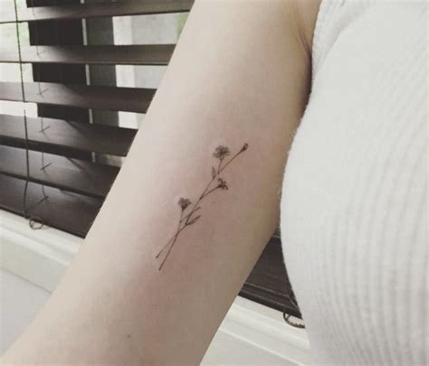 Fiche de sara caroline seger : Fina och avskalade blomtatueringar | Blomtatueringar ...