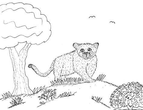 Select from 35870 printable crafts of cartoons free printable cat coloring pages for kids. Robin's Great Coloring Pages: Cougar