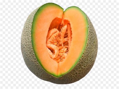 Google has many special features to help you find exactly what you're looking for. Melon, Galia Melon, Alambic Melon gambar png