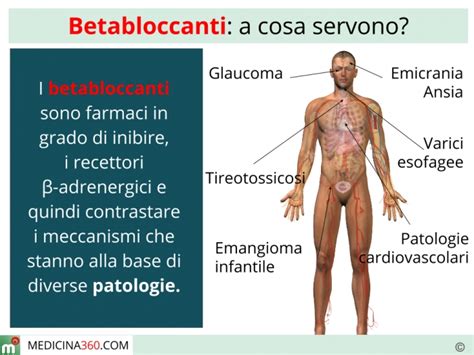 Check spelling or type a new query. Betabloccanti: cosa sono? A cosa servono? Indicazioni e ...