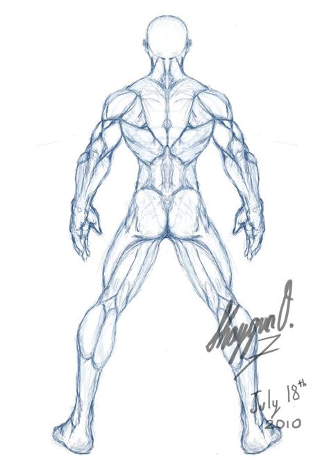 Each diagram includes a simplified drawing of the. male drawing template | Male Anatomy Template: Back by ...